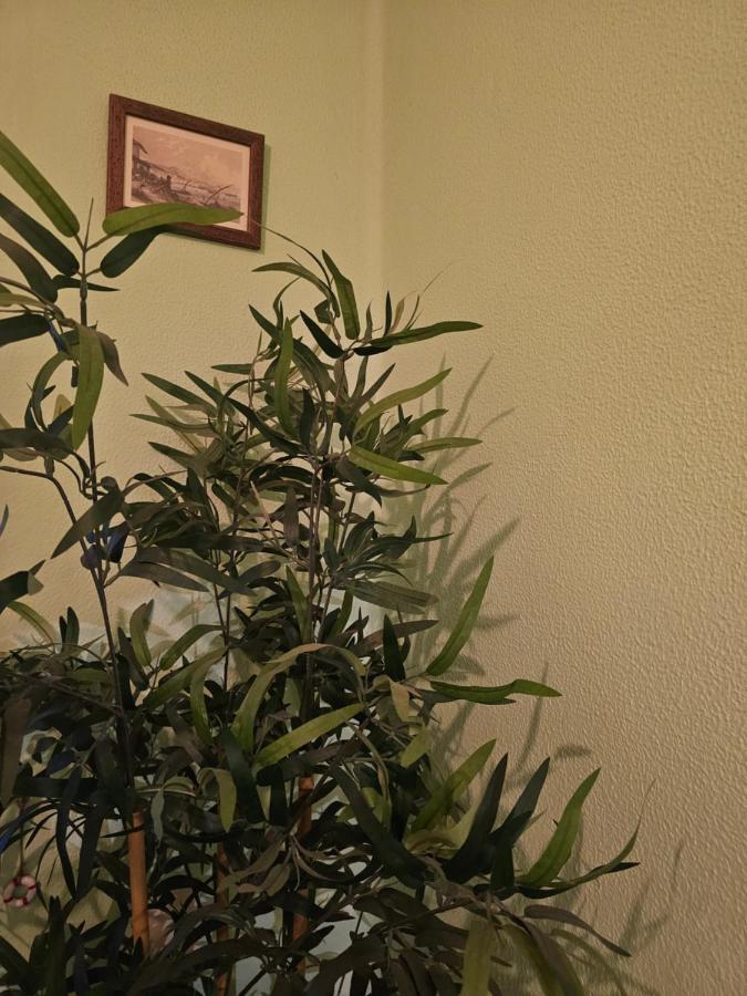 Habitacion Amplia Y Centrica En Piso Compartido Ла Коруня Екстериор снимка